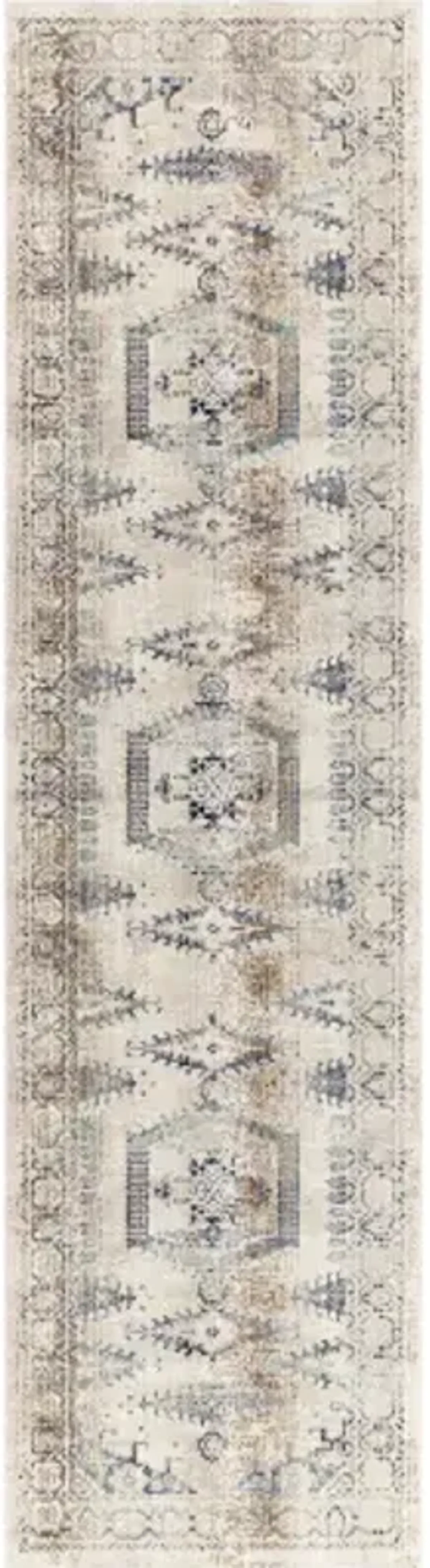 Dublin 2'7" x 10'2" Rug
