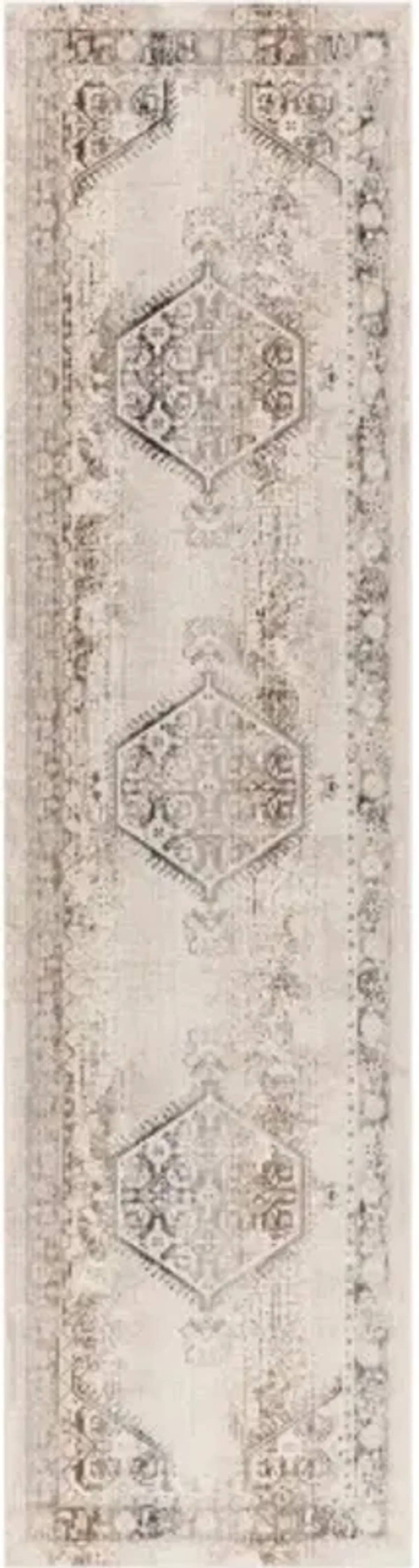 Dublin 2'9" x 10'3" Rug