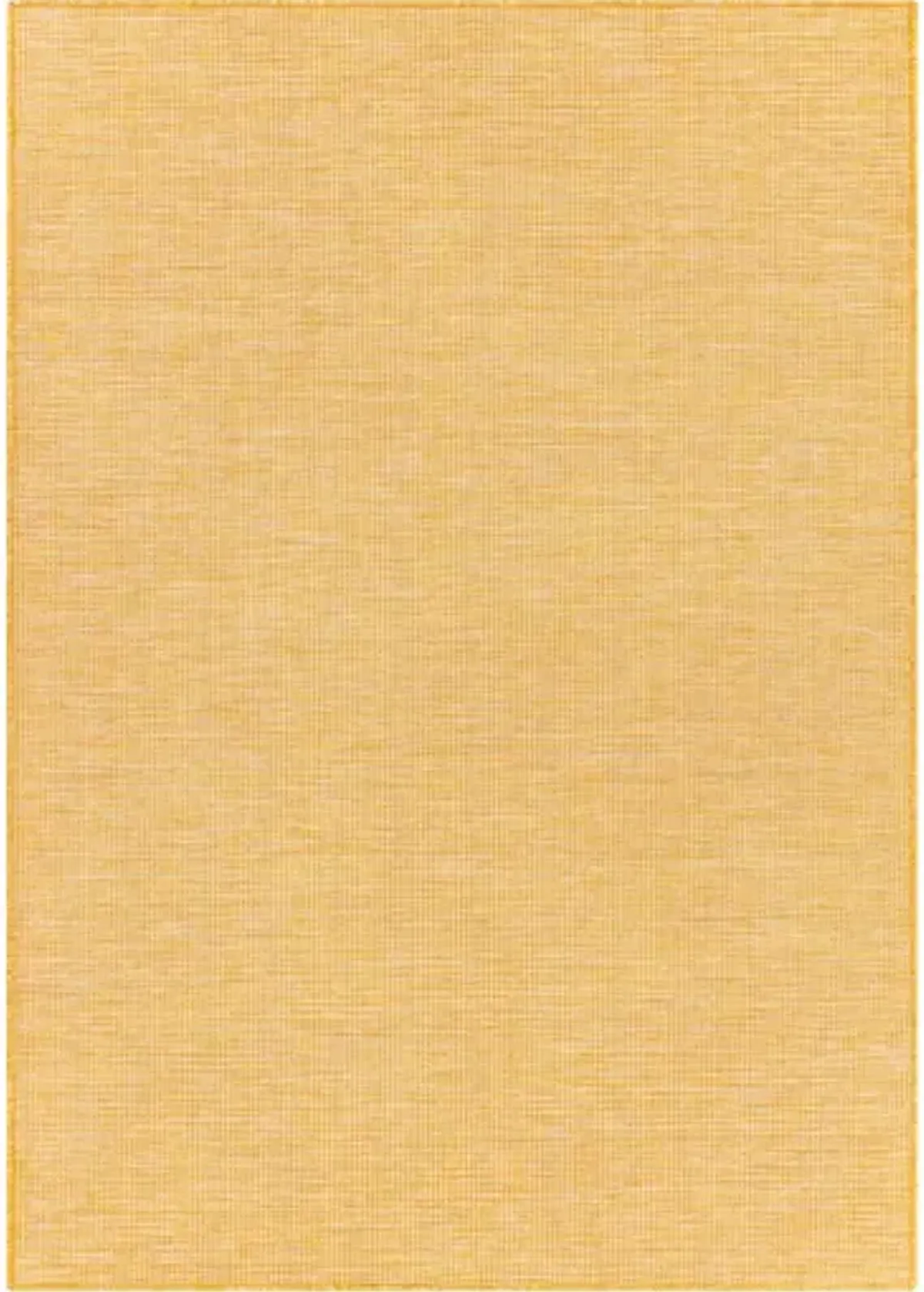 Pasadena 2'6" x 4' Rug