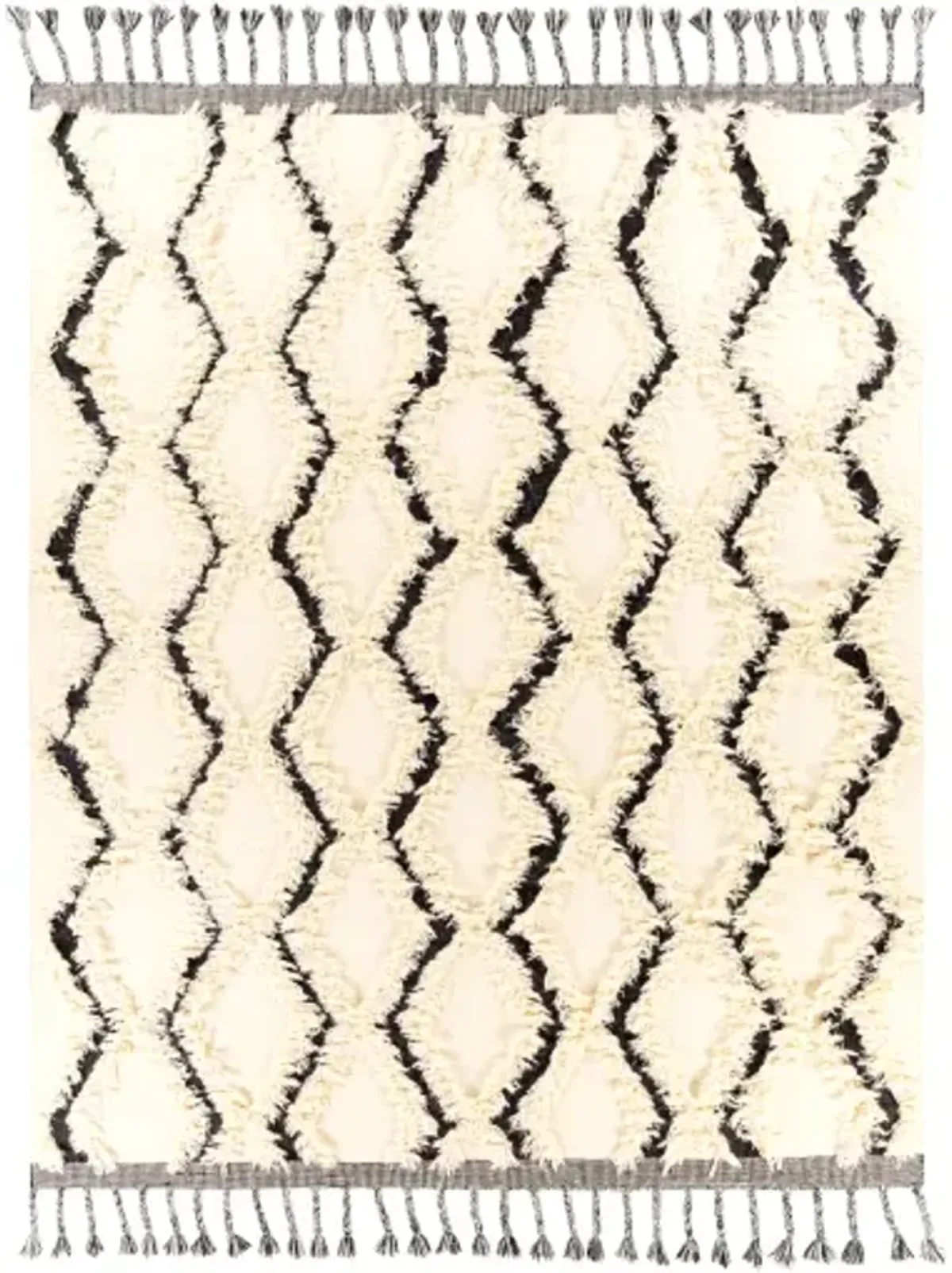 Apache 8' x 10' Rug