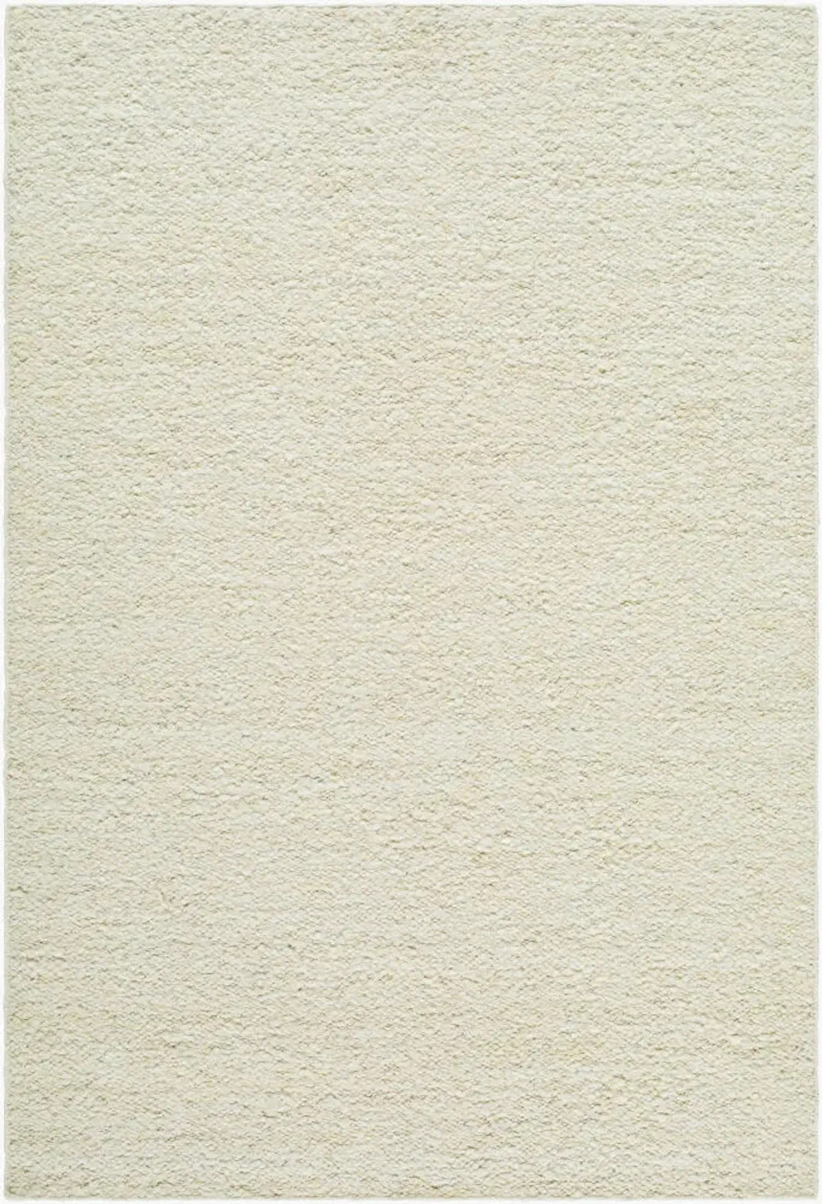 Leman 2'8" x 4'11" Handmade Rug