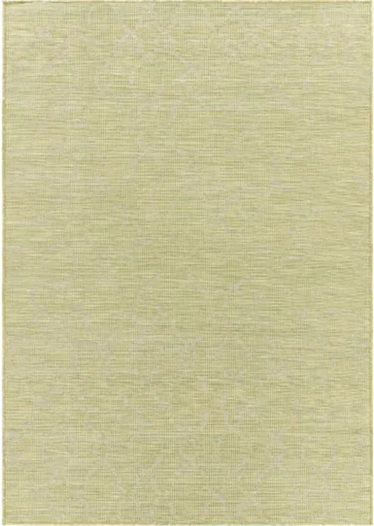 Pasadena 2'6" x 4' Rug