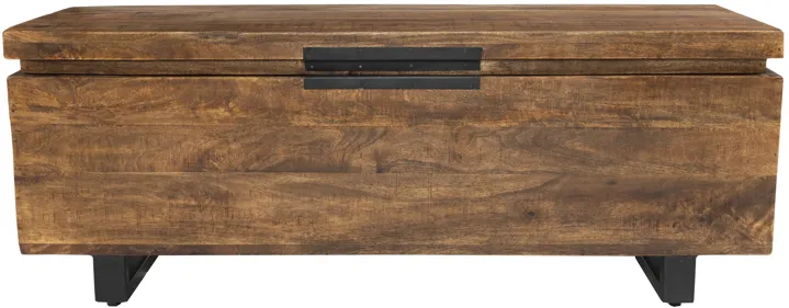 Zoe Storage Trunk Honey Brown