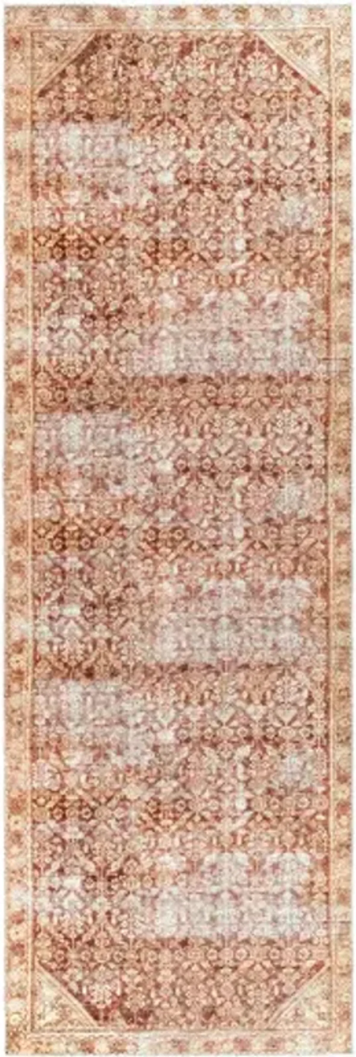 Amelie AML-2345 2'7" x 7'10" Rug