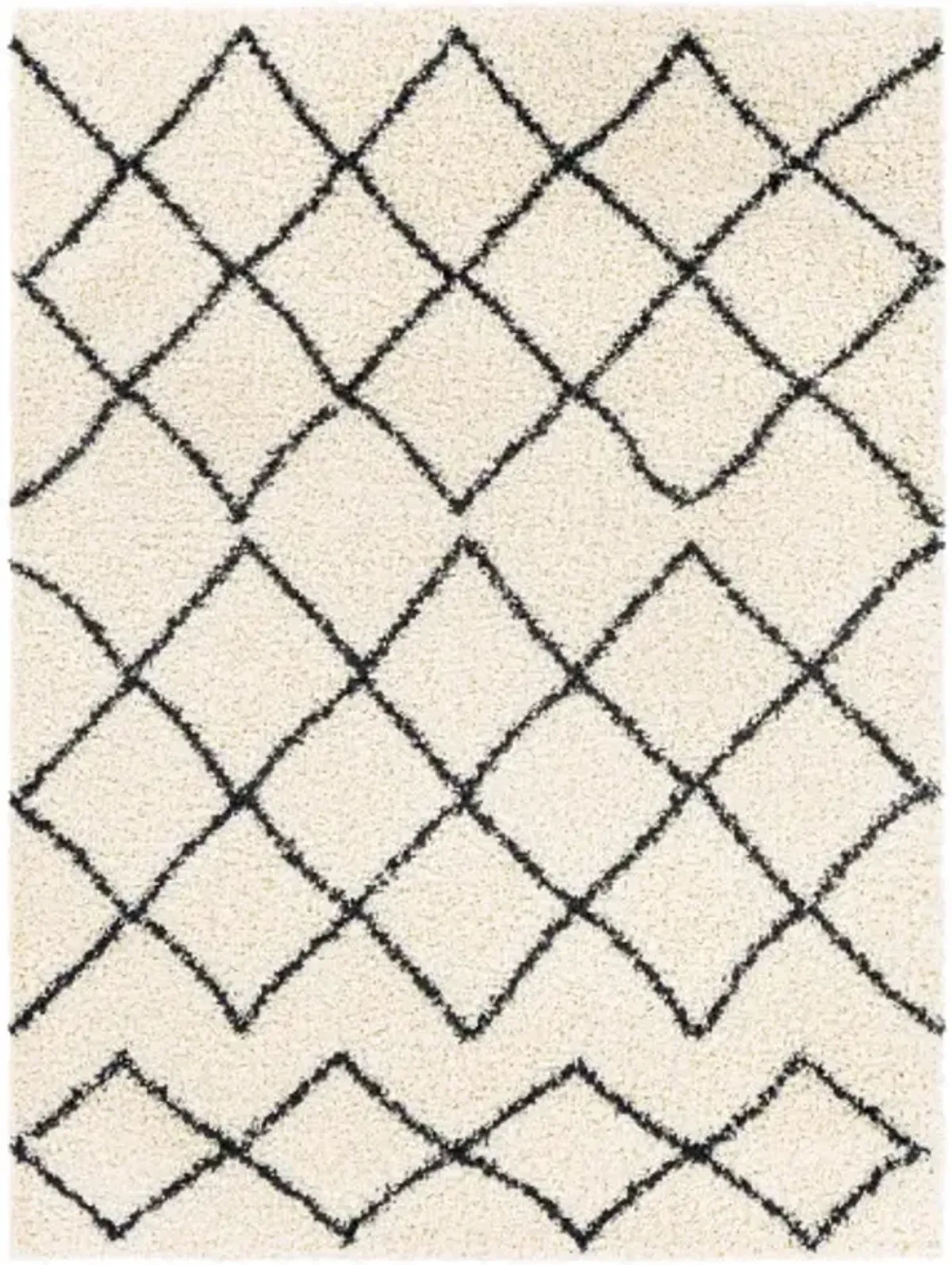 Beni shag 5'3" x 7' Rug