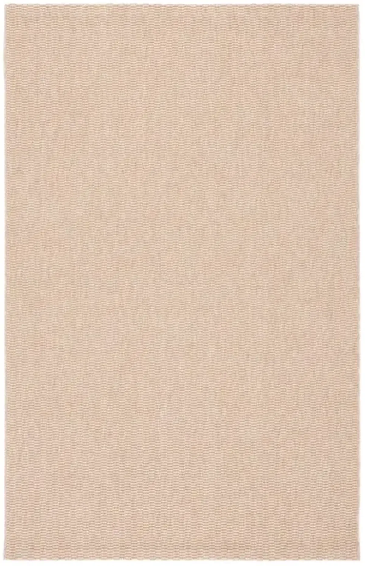 SISAL ALL-WEATHER 420 Beige 4' X 6' Small Rectangle Rug