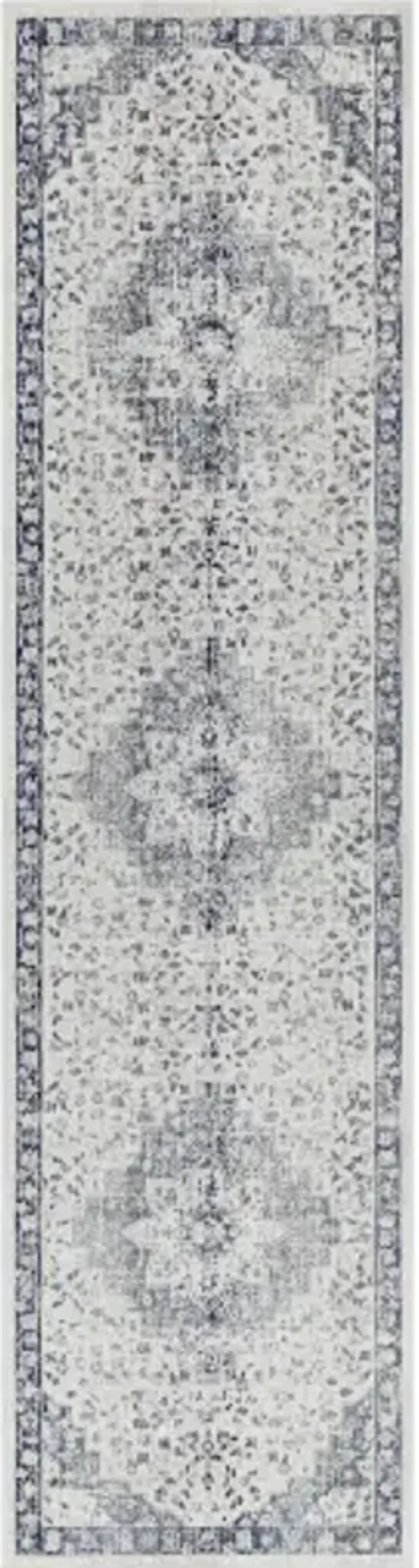 Dublin 2'7" x 10'2" Rug