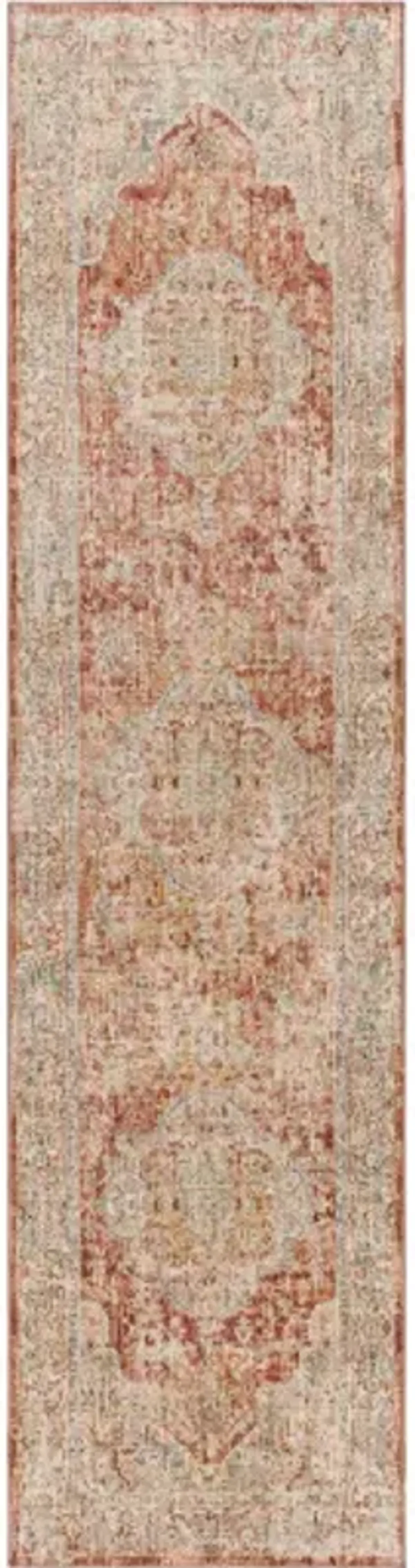 Aspendos APS-2306 2'7" x 10' Rug