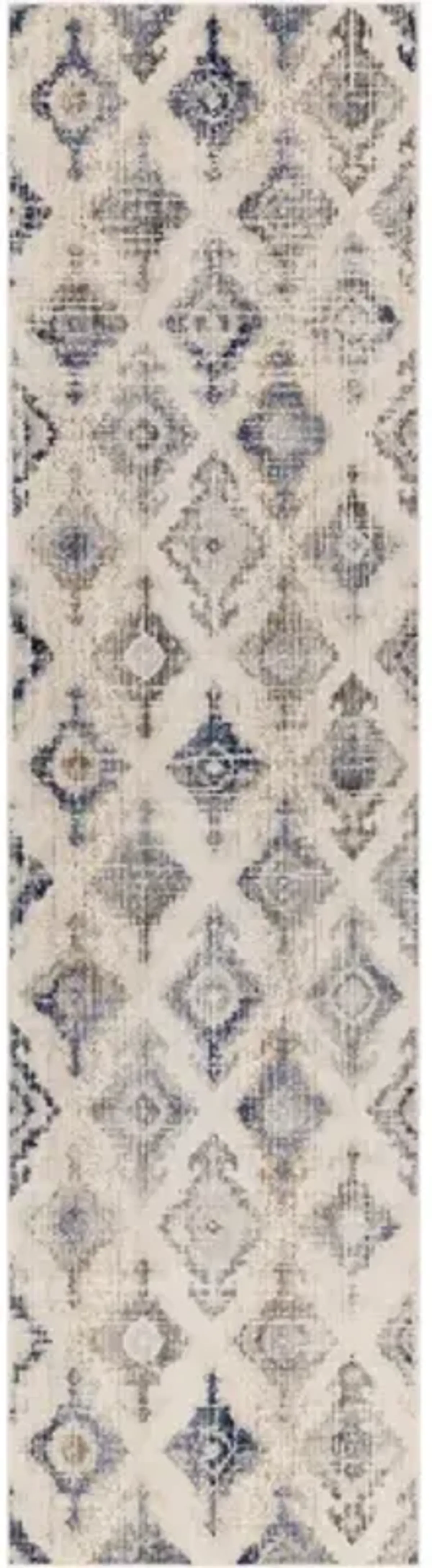 Dublin 2'7" x 10'2" Rug