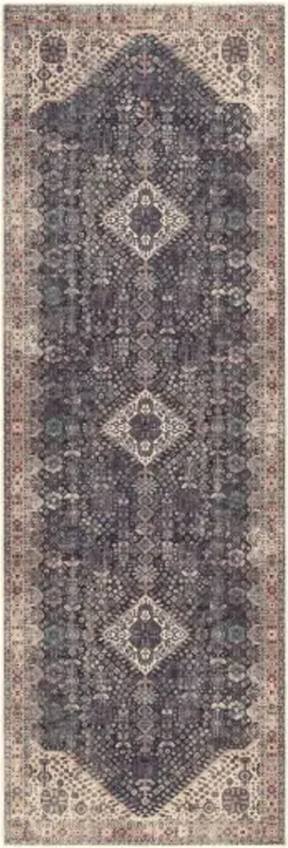 Amelie 2'7" x 7'10" Rug