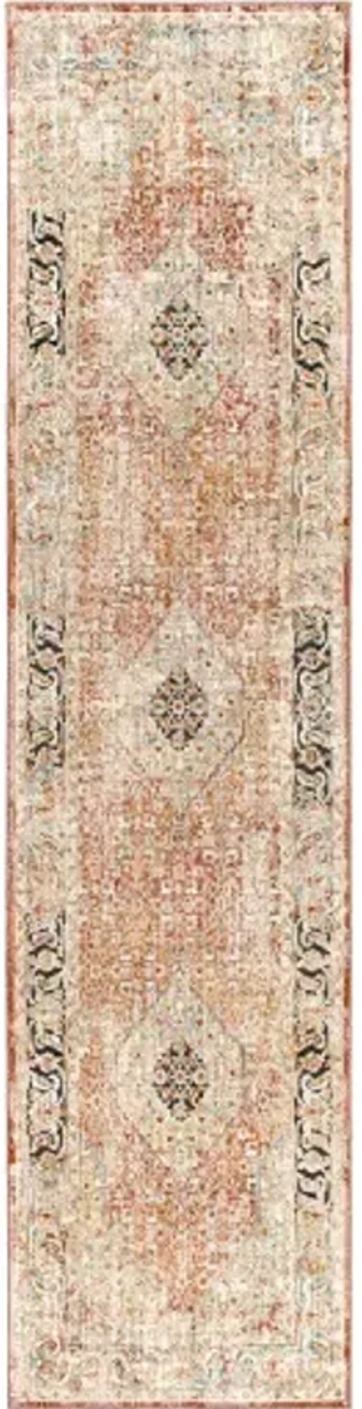 Aspendos APS-2302 2'7" x 10' Rug