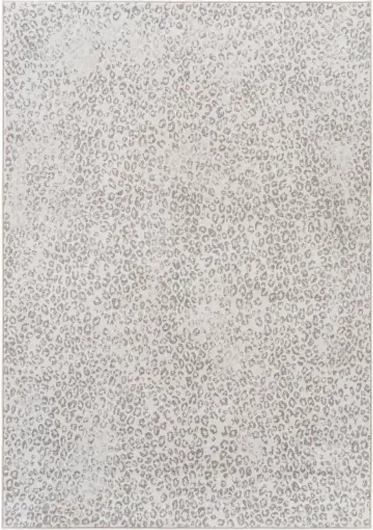 Contempo 5'3" x 7'7" Rug
