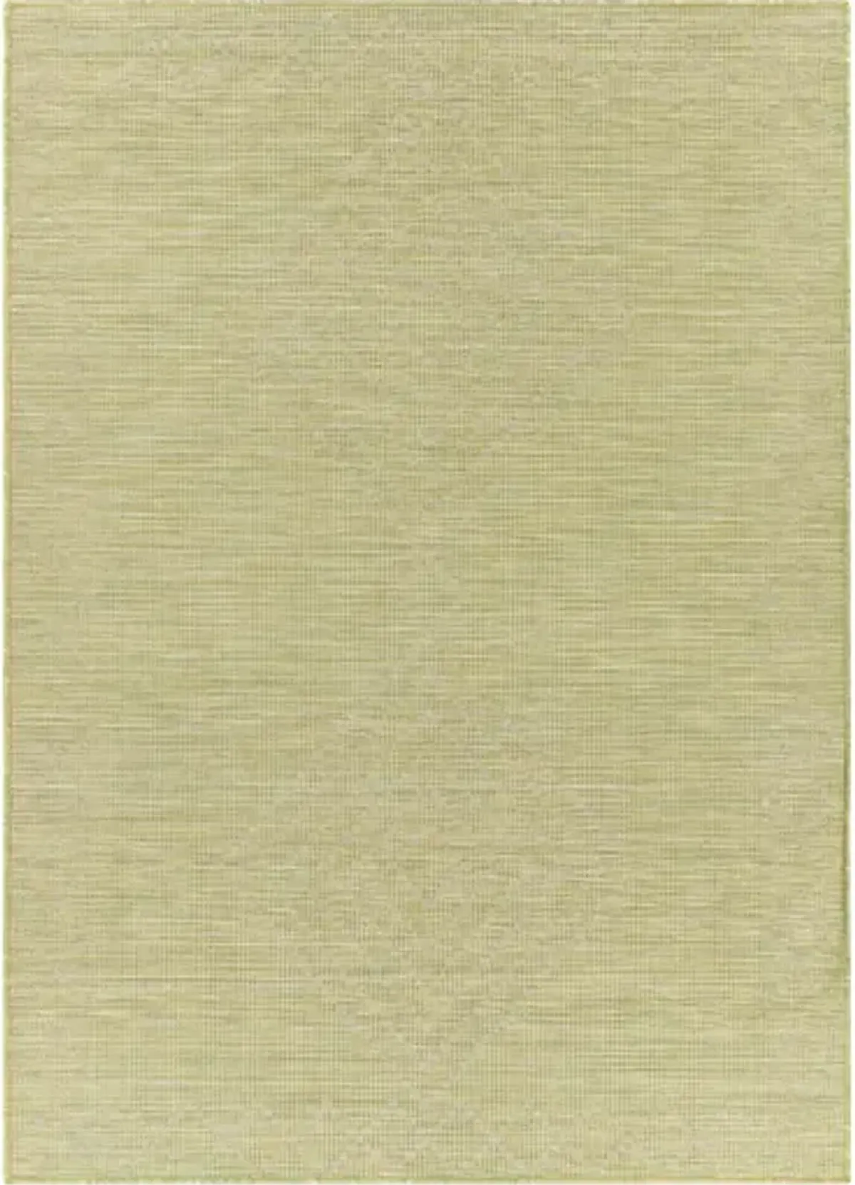 Pasadena 2'6" x 4' Rug