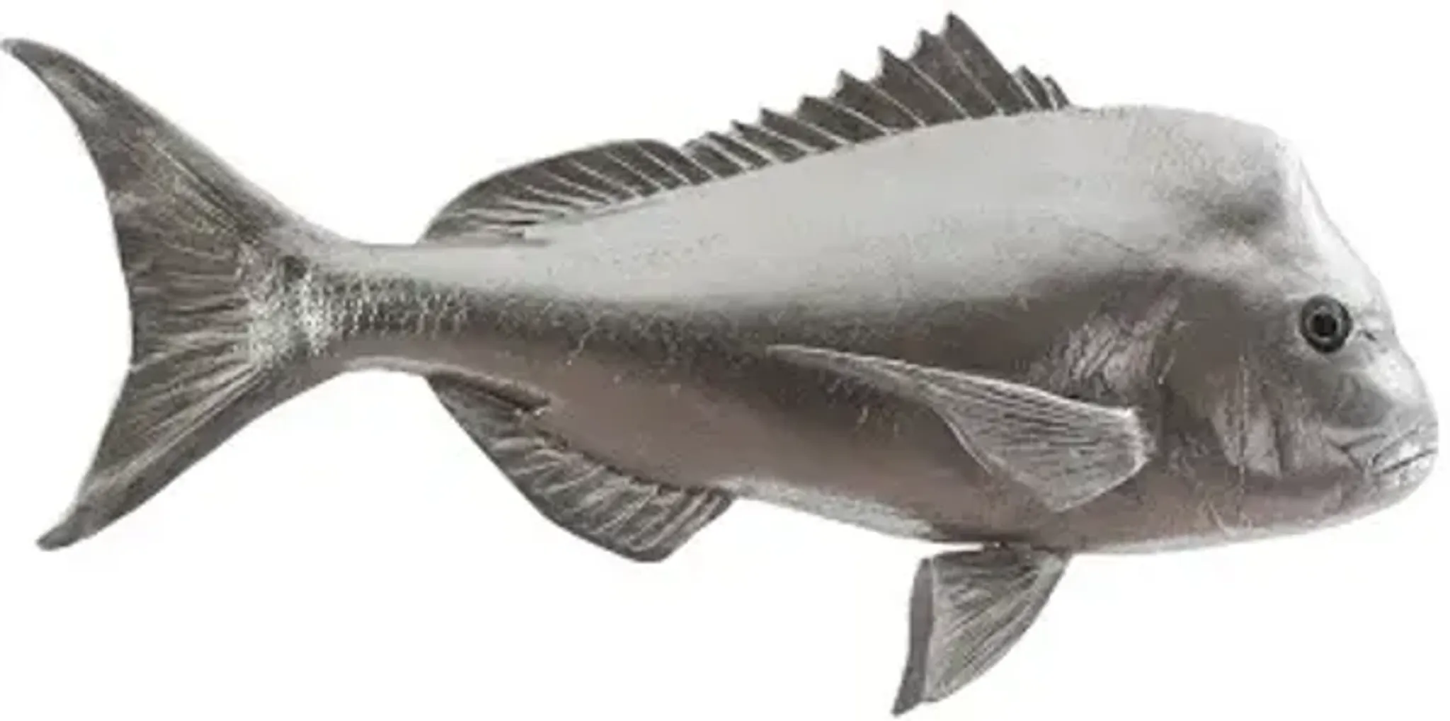 australian snapper fish wall sculpture, resin, silver leaf | Furniture.com