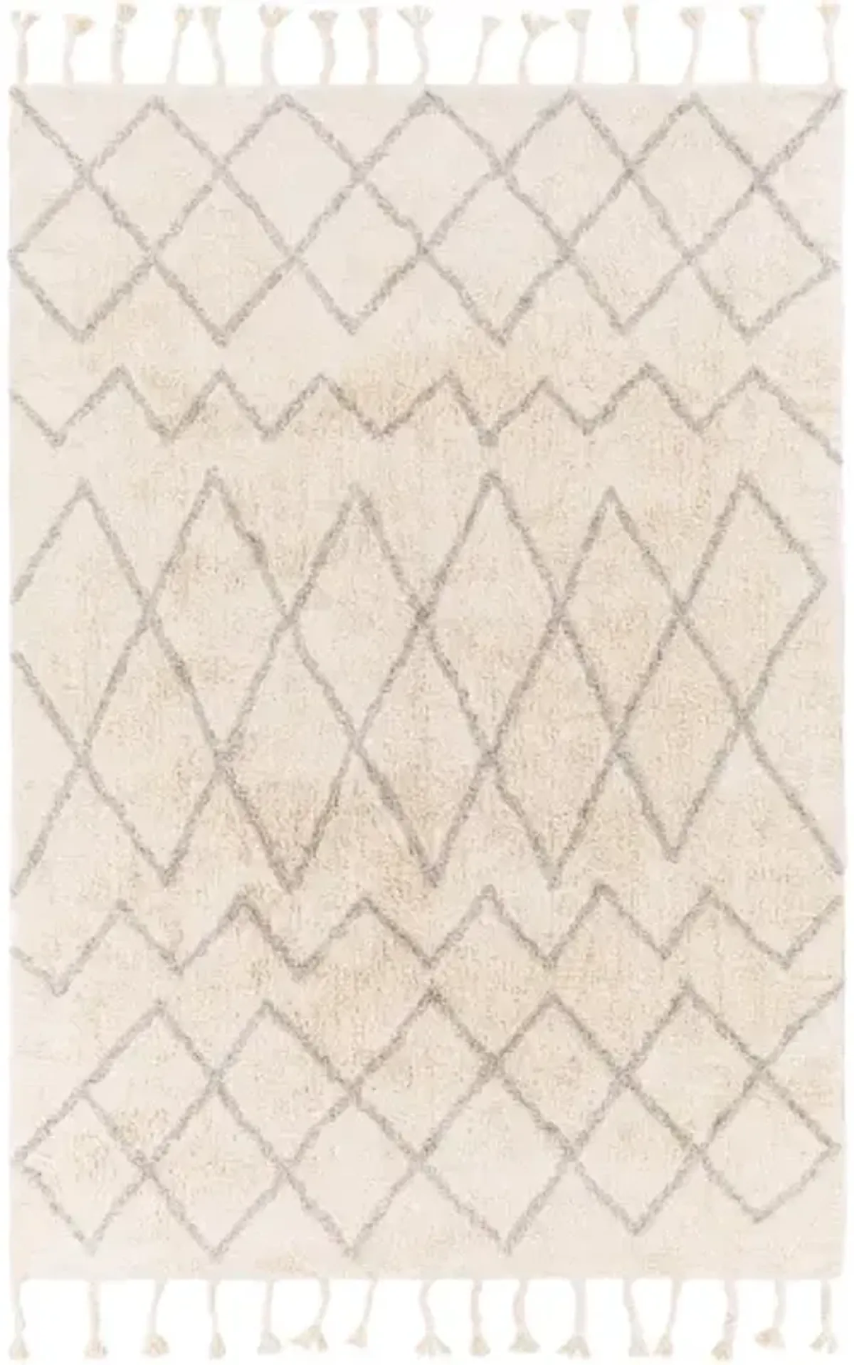 Khemisset 2'6" x 4' Rug