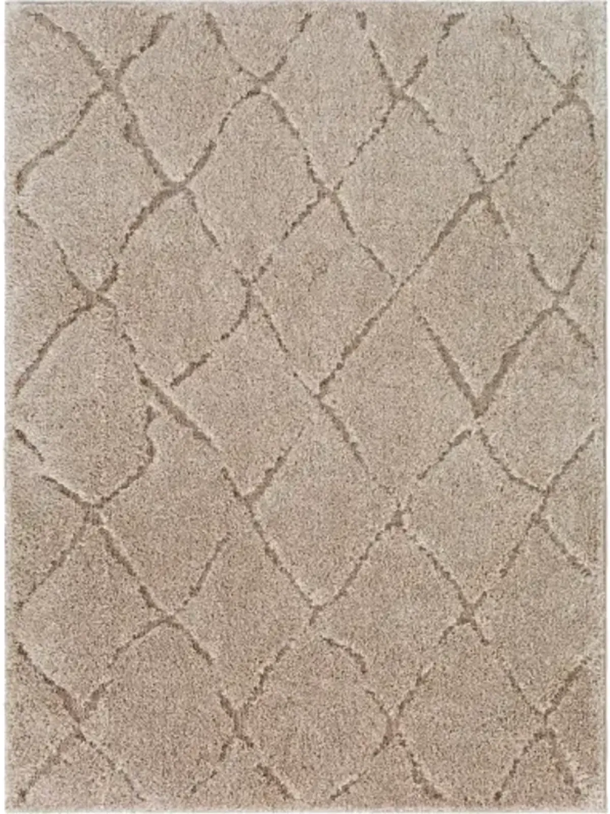 Elenor 5'3" x 7'3" Rug