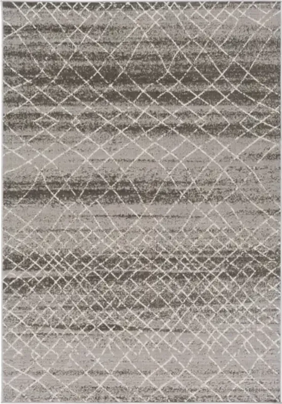 Rafetus 5'3" x 7'7" Rug