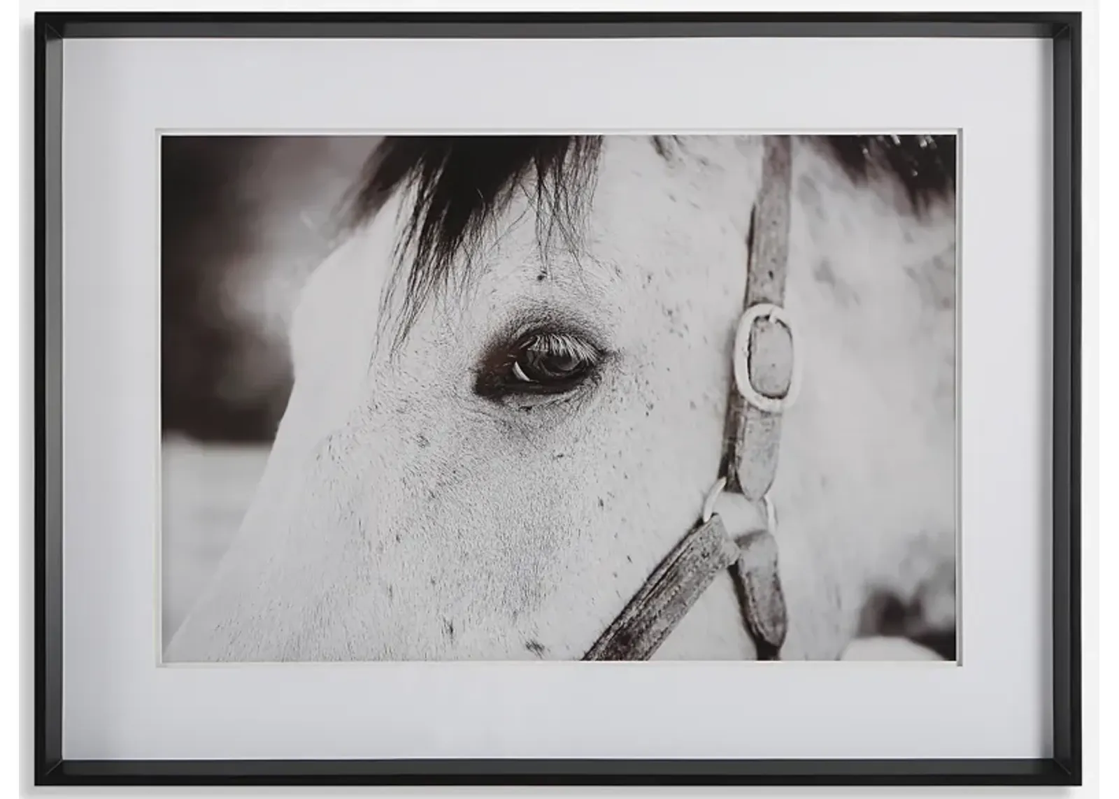 Eye Of The Beholder Framed Print