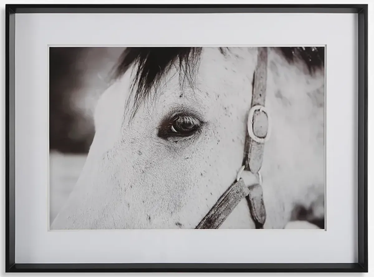 Eye Of The Beholder Framed Print