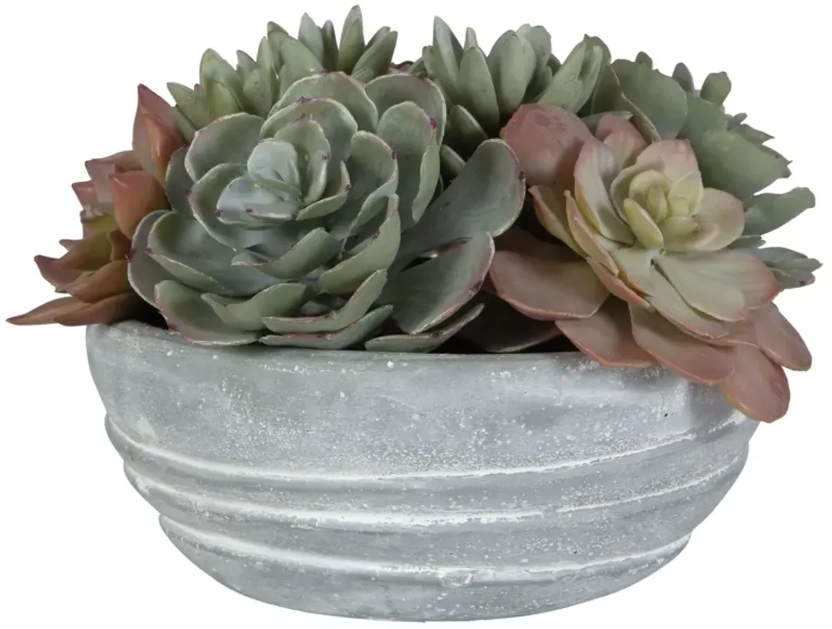 Peoria Succulent Accent