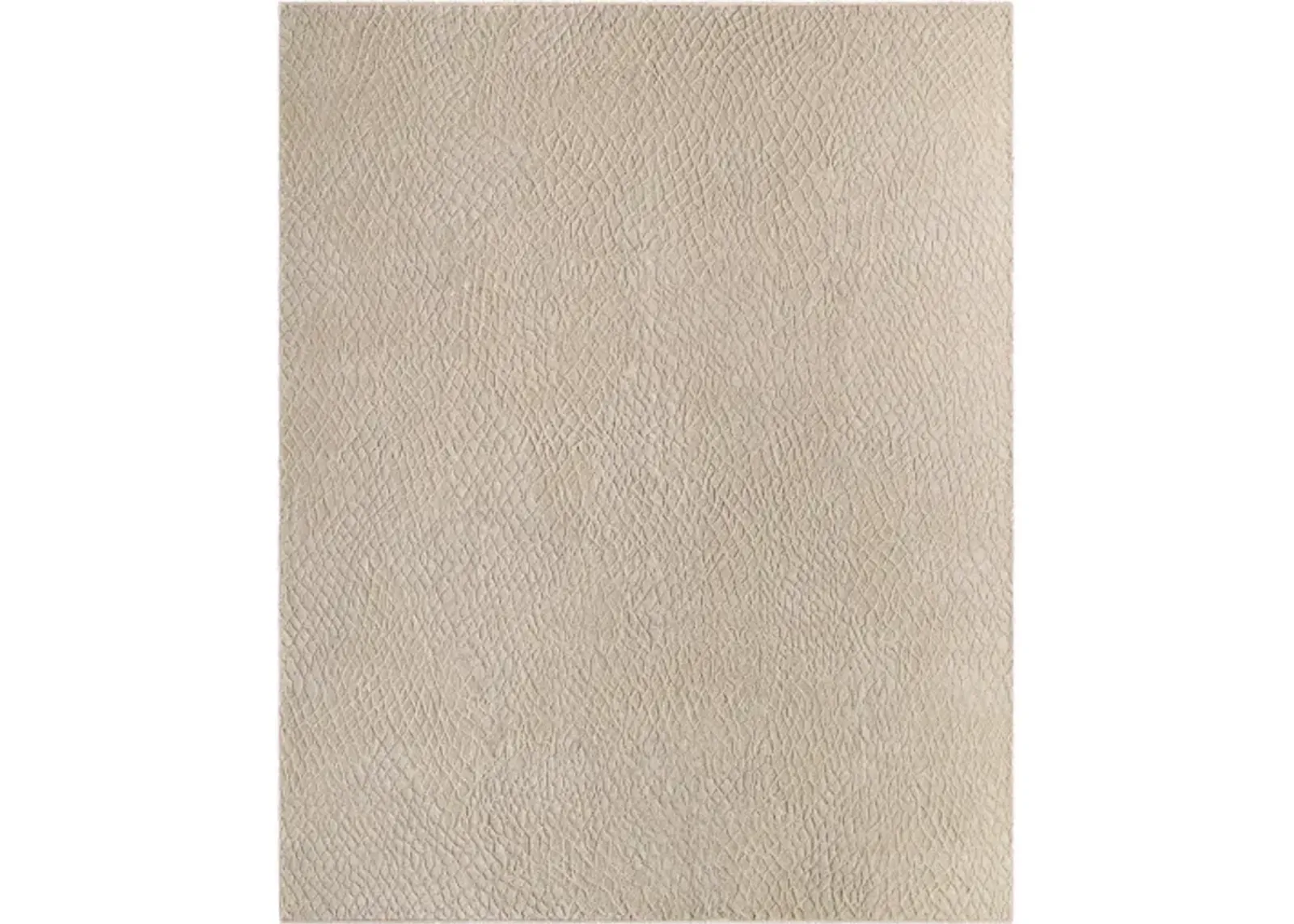 Reyyan RHE-2302 2' x 3' Handmade Rug