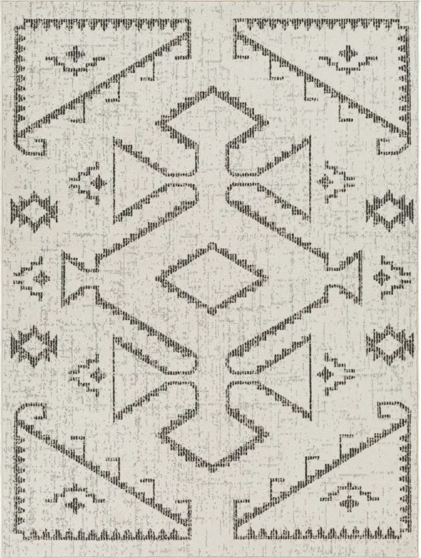 Delphi DEP-2311 5'3" x 7' Machine Woven Rug