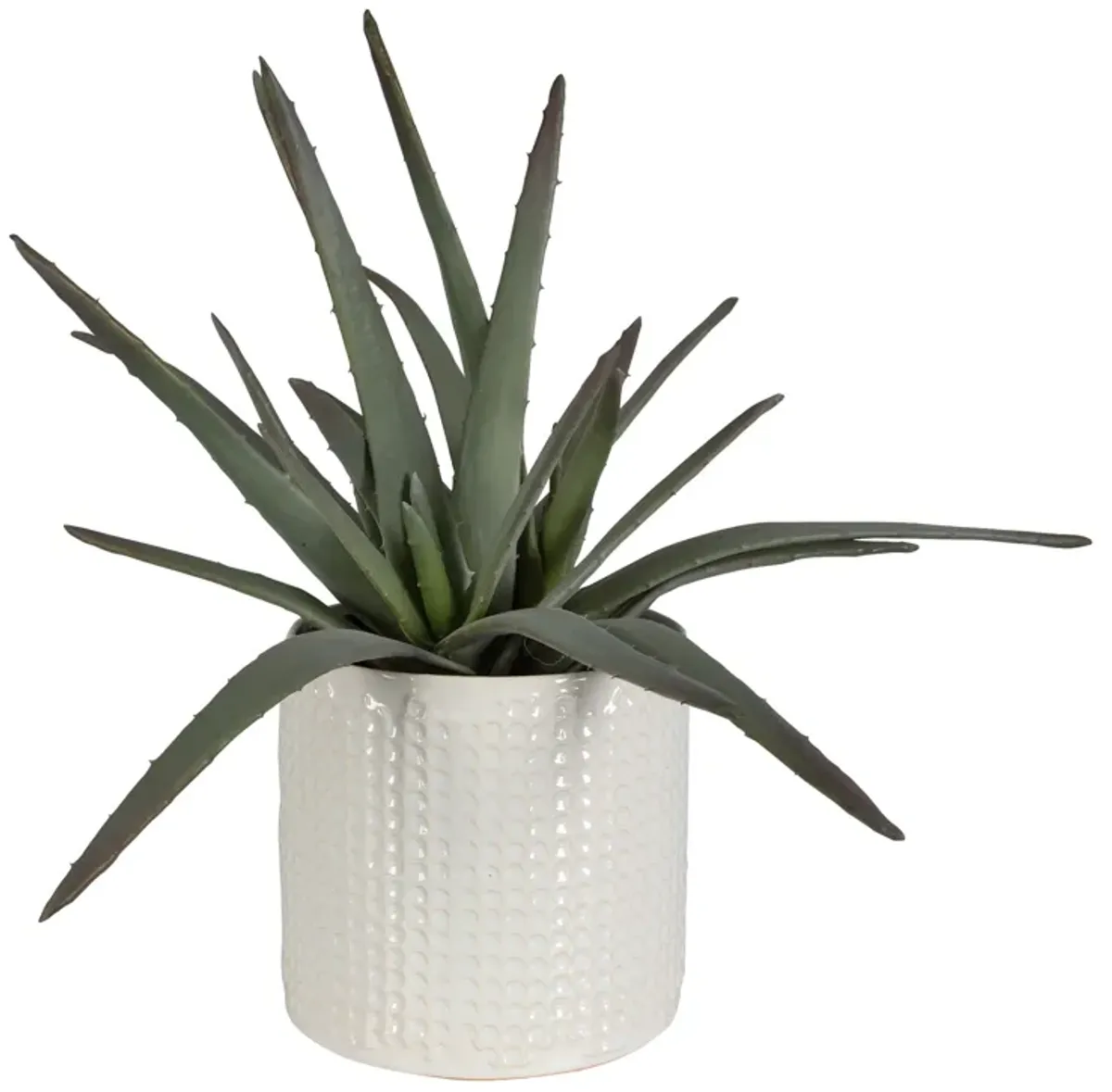 Taos Aloe Centerpiece