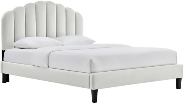 Daisy Performance Velvet Queen Platform Bed