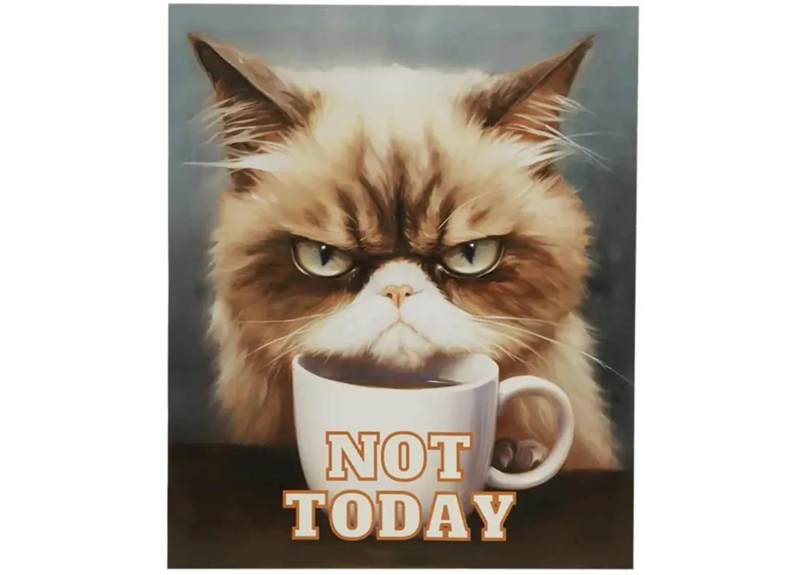 Not Today Canvas Wall Art