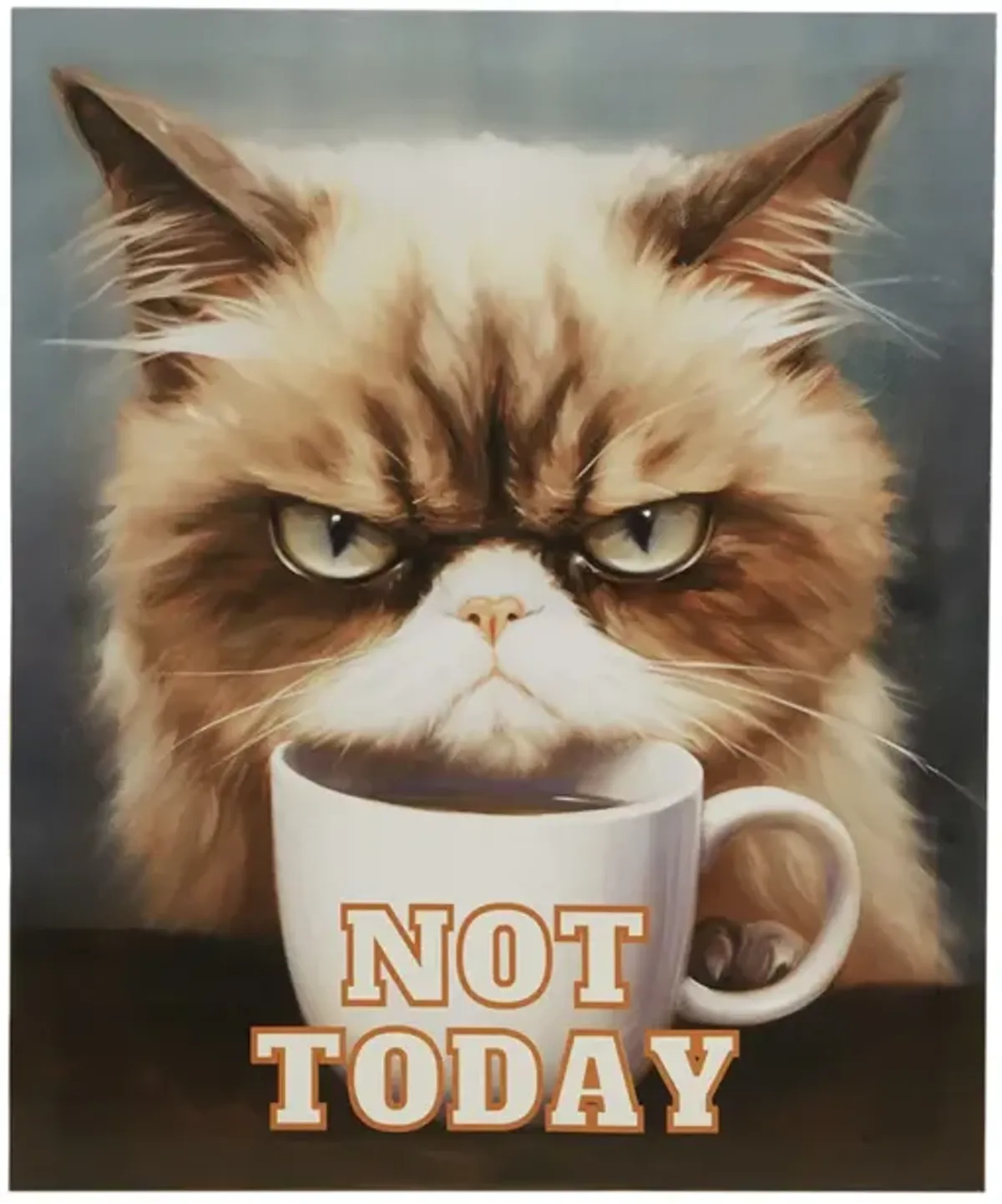 Not Today Canvas Wall Art