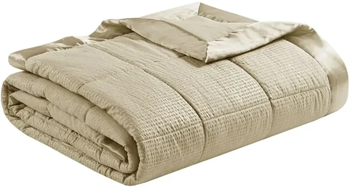 Madison Park Cambria Taupe Oversized Down Alternative Blanket with Satin Trim