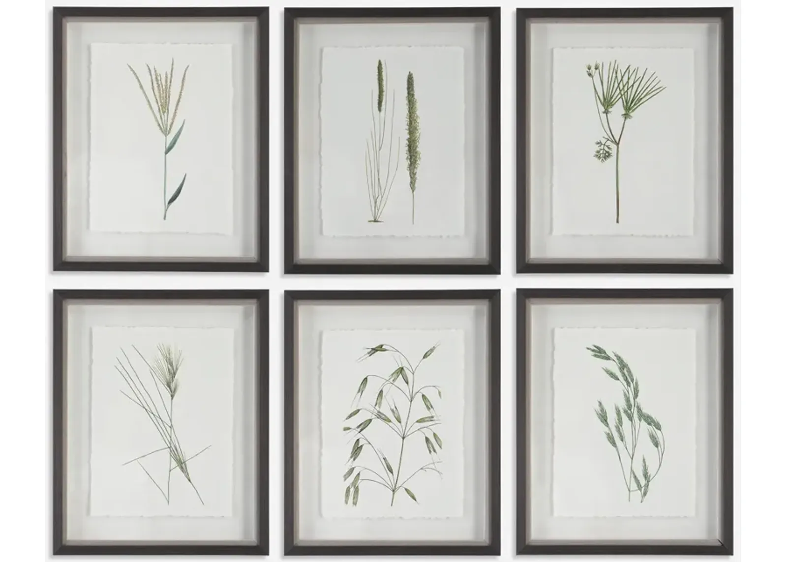 Forest Finds Framed Prints - Set of 6