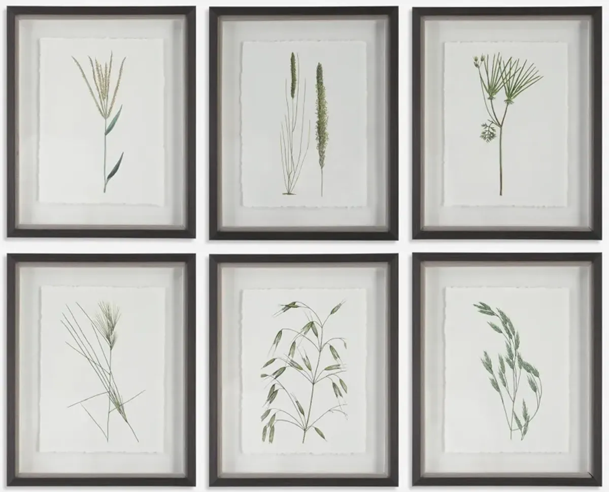 Forest Finds Framed Prints - Set of 6