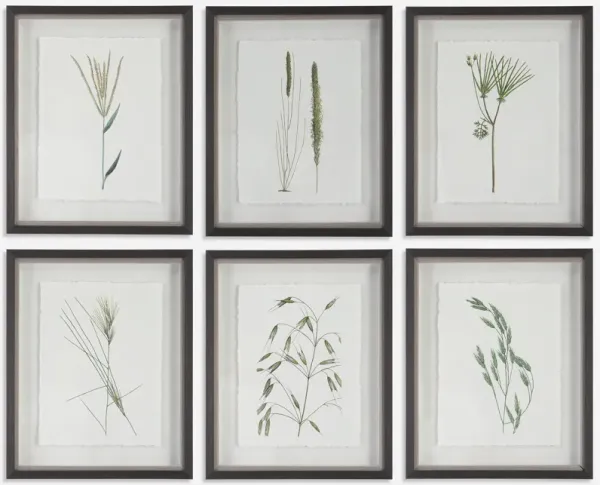 Forest Finds Framed Prints - Set of 6