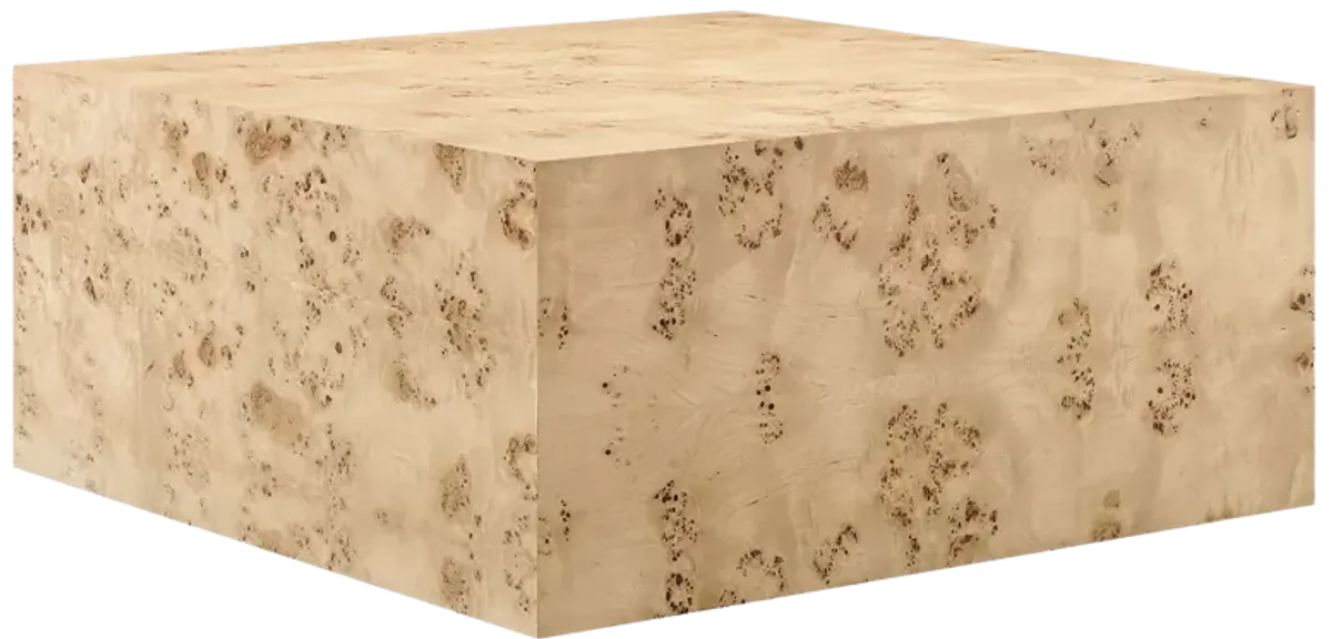 Cosmos 36" Square Burl Wood Coffee Table