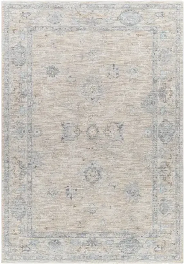 Virginia 2' x 3'11" Rug