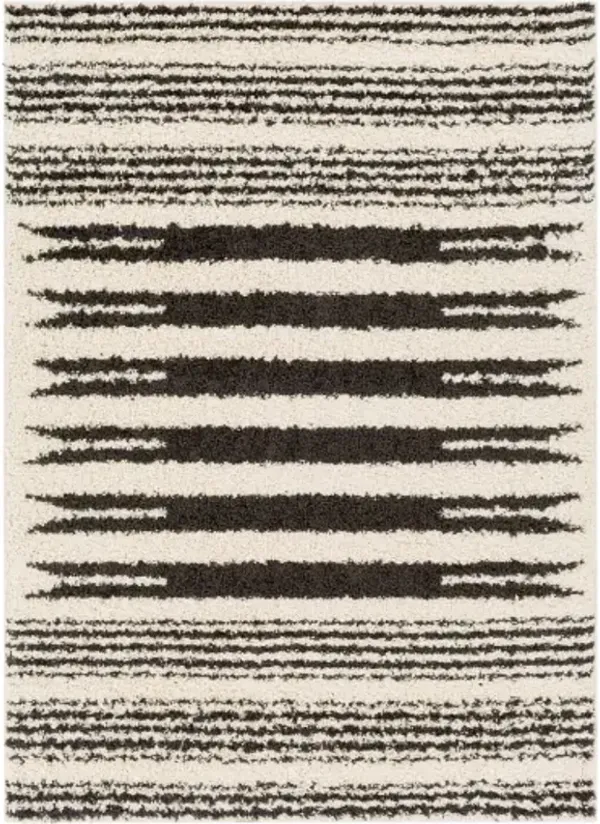 Beni shag 5'3" x 7' Rug