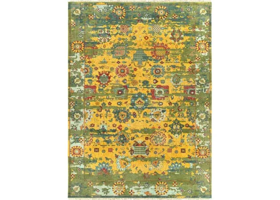 Festival 9' x 13' Rug