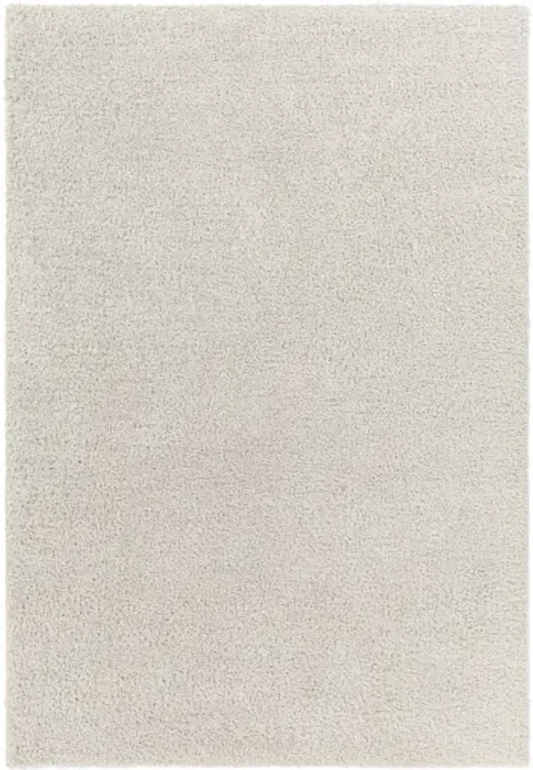 Cloudy Shag CDG-2301 5'3" x 7' Machine Woven Rug