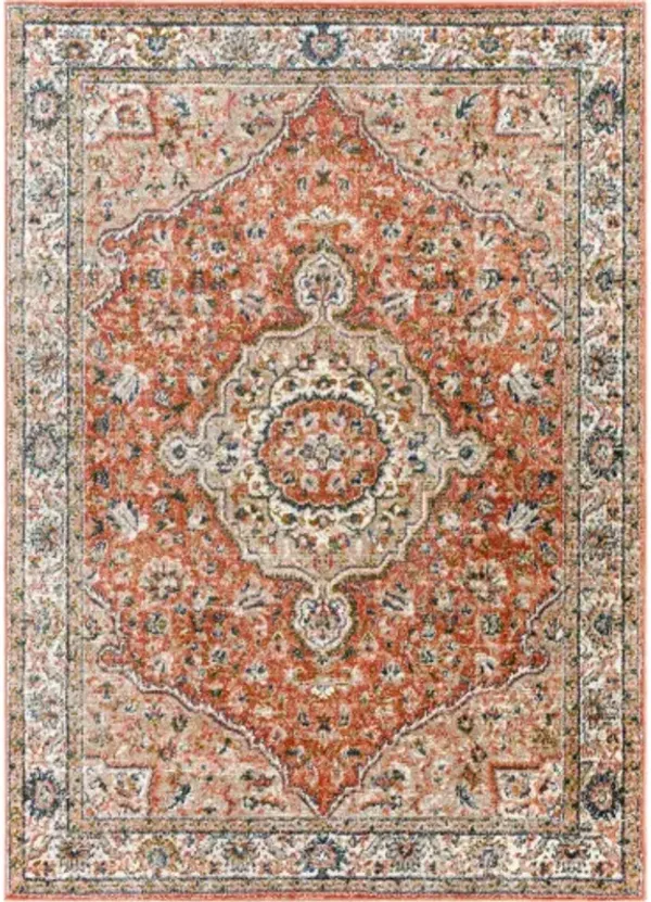 Davaro 5'3" x 7' Rug