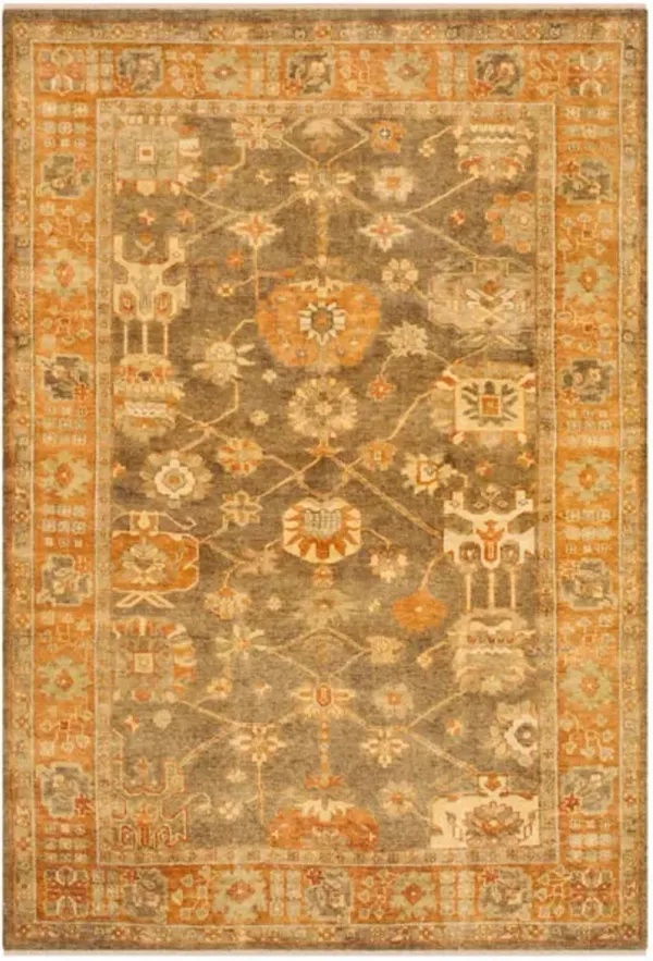 OSH144 Brown  4' X 6' Small Rectangle Rug