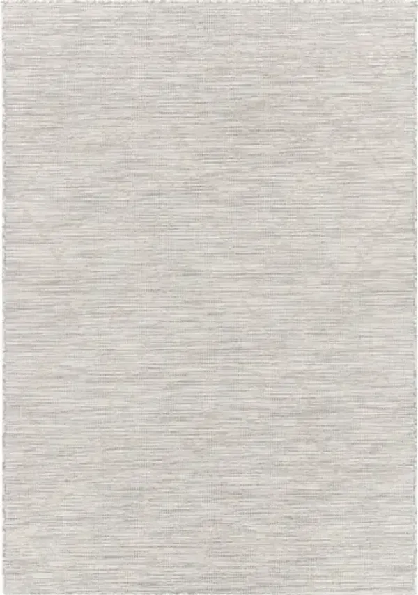 Pasadena 2'6" x 4' Rug