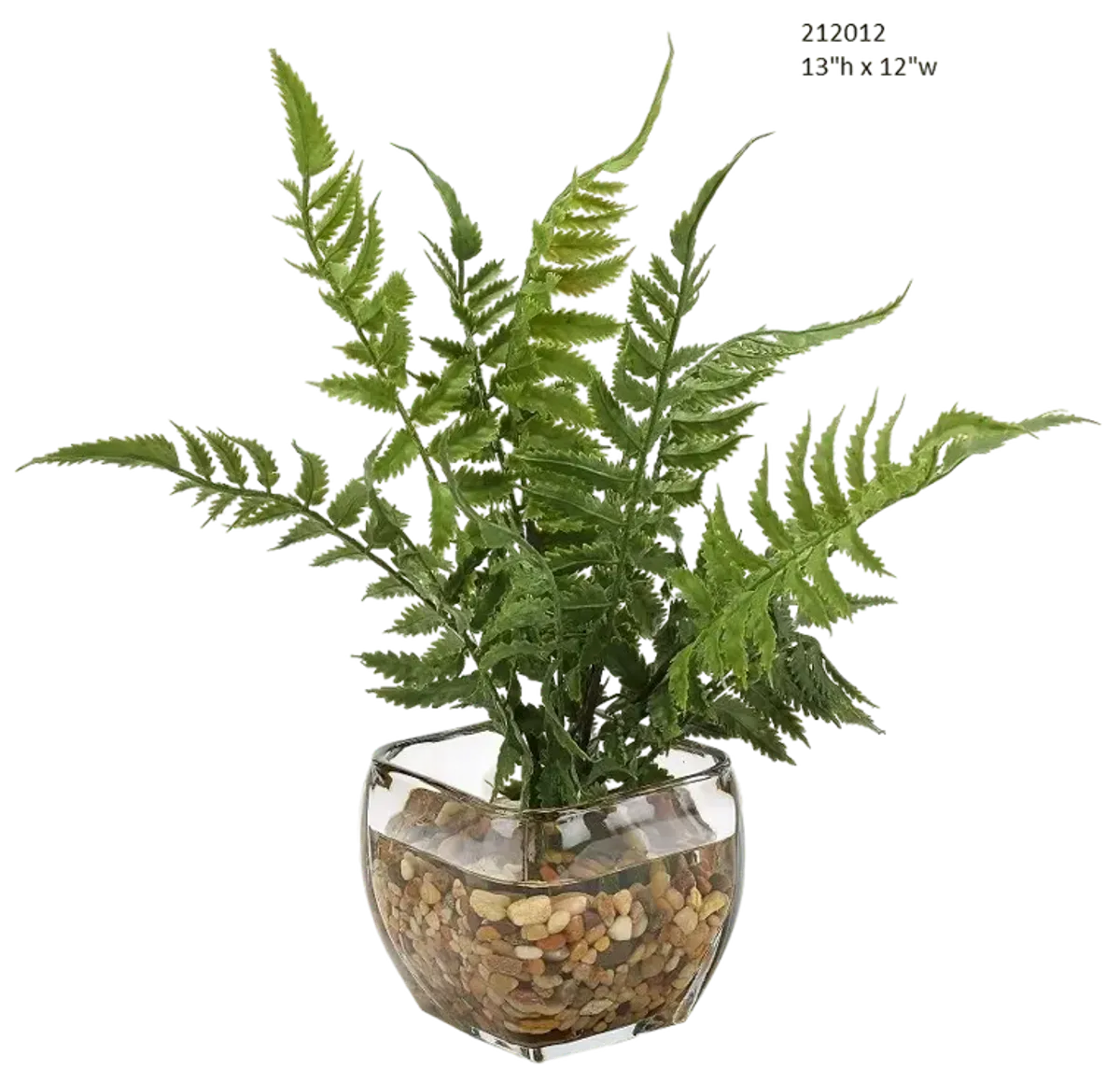 Leather Fern in Glass Cube