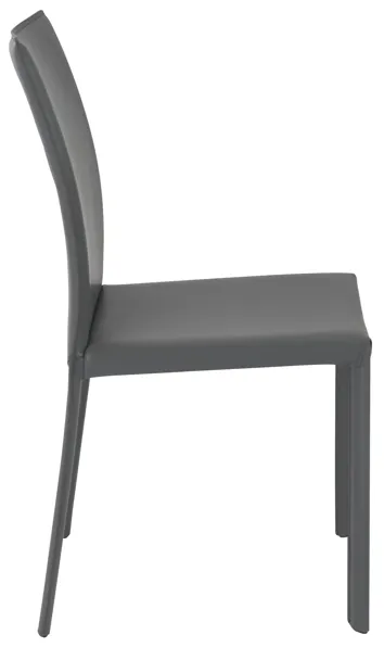 Hasina Side Chair in Gray - Set of 2