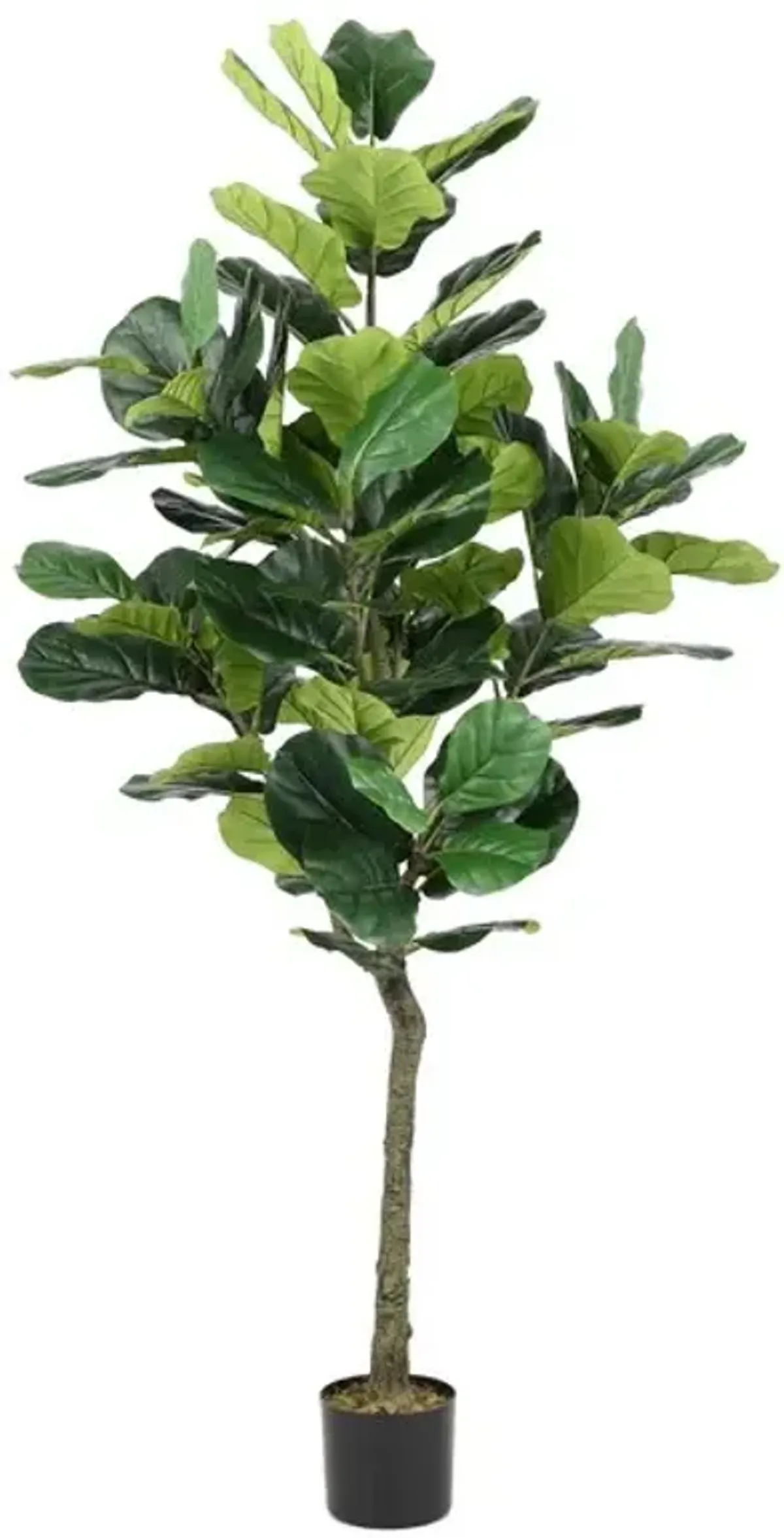 Faux Potted Fig Tree