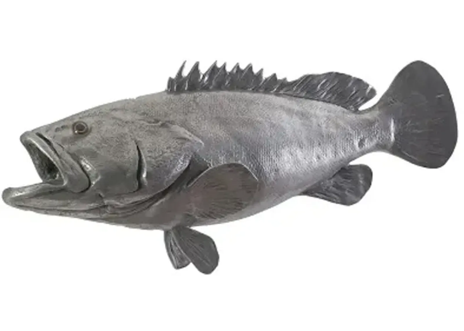 estuary cod fish wall sculpture, resin, polished aluminum finish