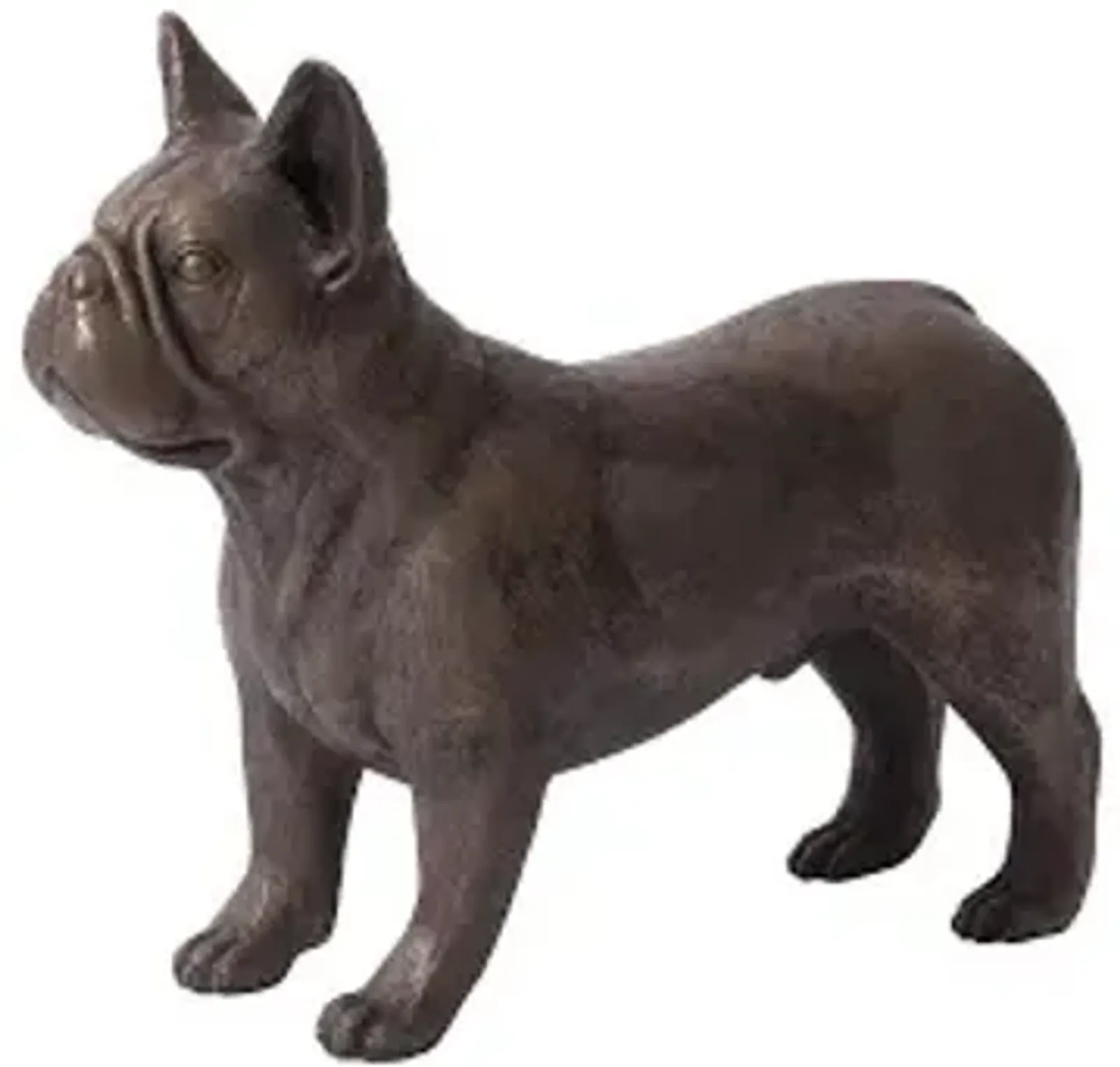 french bulldog, bronze