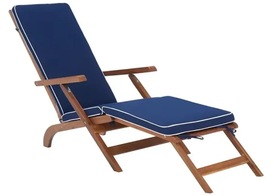 Palmdale Lounge Chair