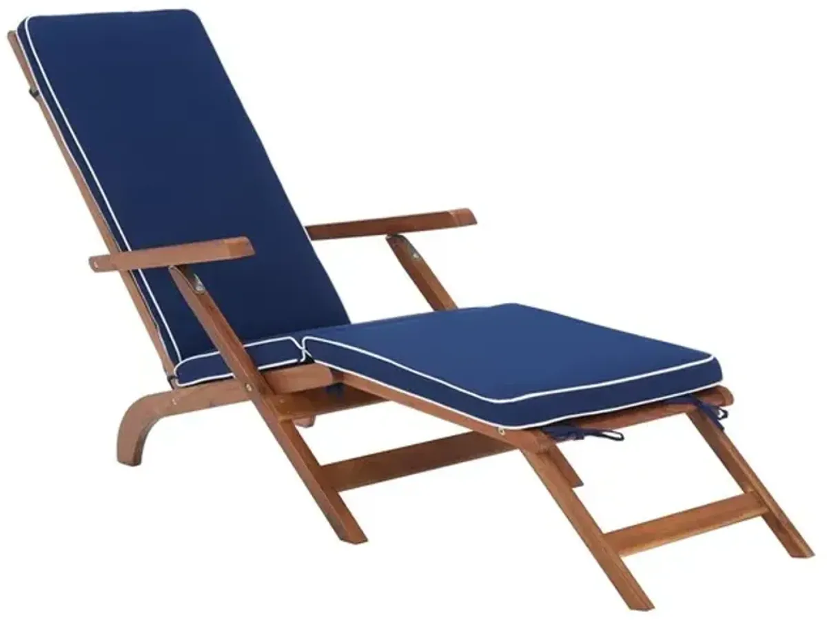 Palmdale Lounge Chair