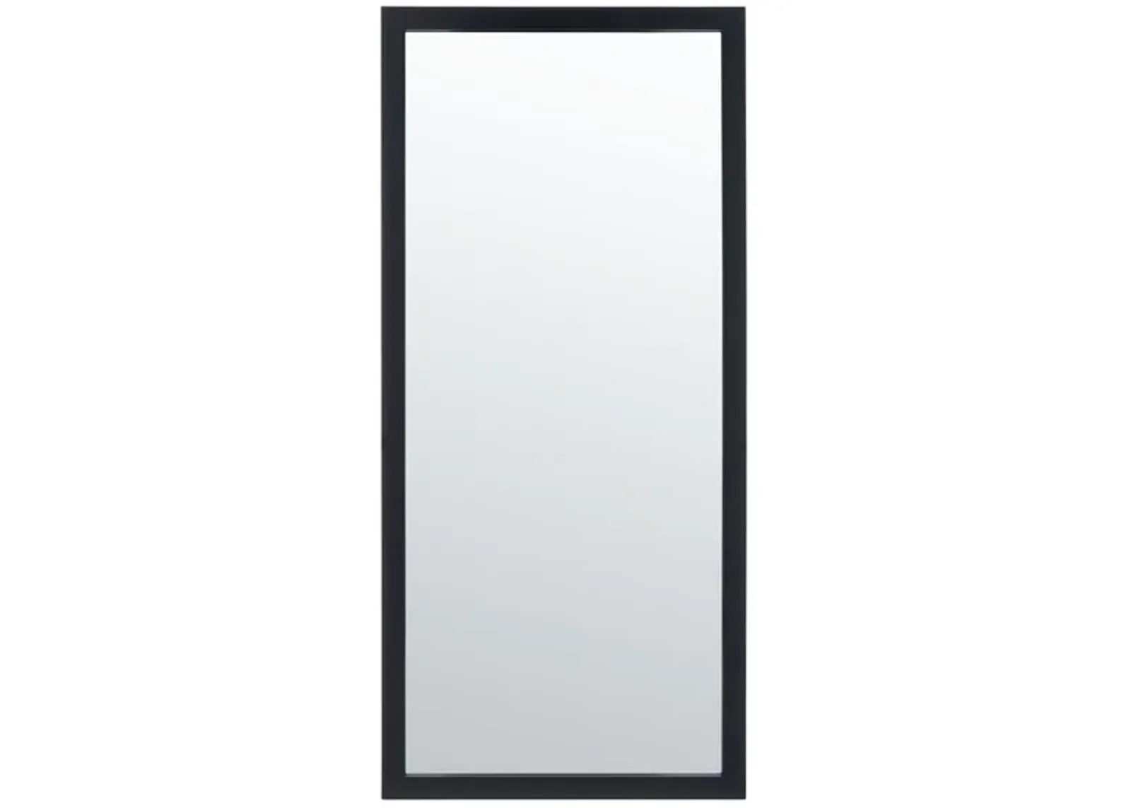 PRAVINA MIRROR